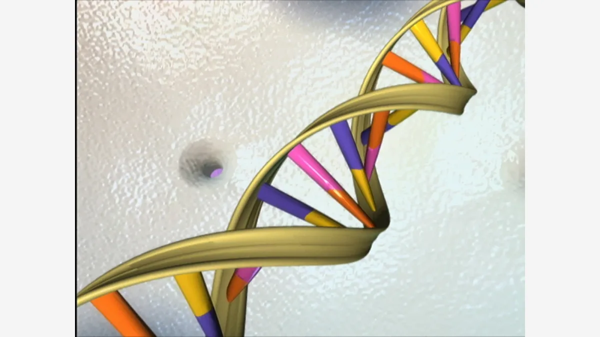 DeepMind Precomputed 9 Billion DNA Variants Into a 1-Petabyte Atlas