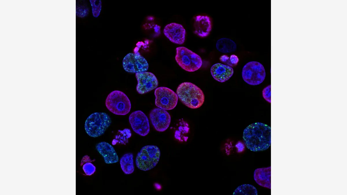 AI Wrote 302 Virus Genomes From Scratch. Sixteen of Them Came Alive.